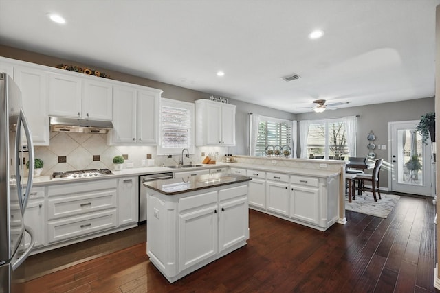 kitchen with a peninsula, stainless steel appliances, dark wood-type flooring, under cabinet range hood, and backsplash