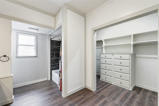 walk in closet featuring dark wood finished floors