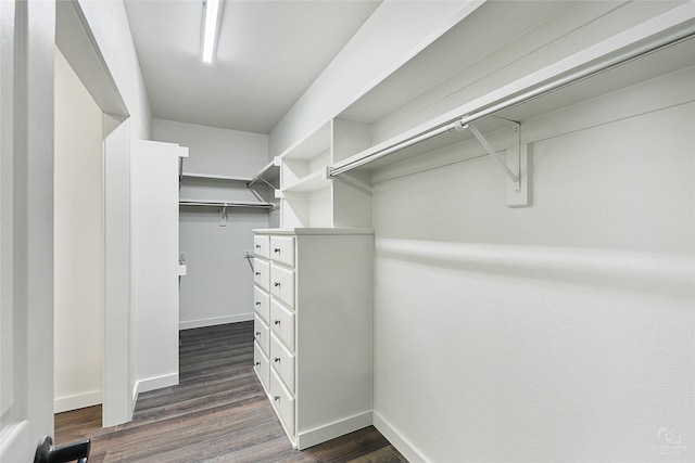 walk in closet with dark wood finished floors