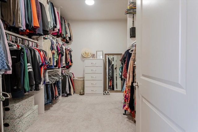 walk in closet featuring carpet flooring