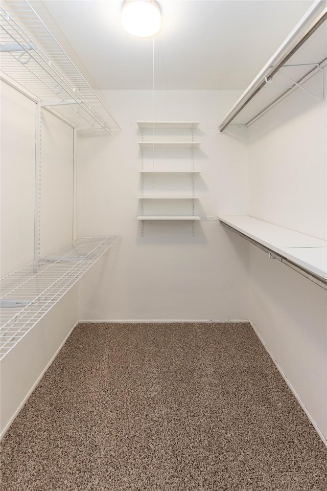 spacious closet with carpet