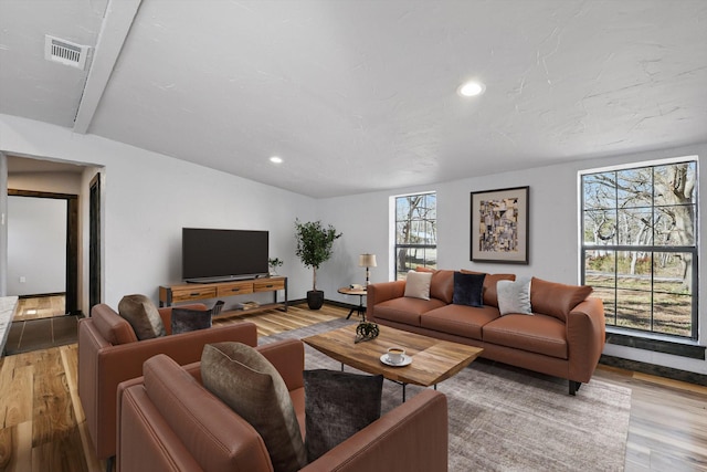 238 Preston Shores Dr, Pottsboro, TX 75076 - living area featuring wood finished floors, recessed lighting, and lofted ceiling