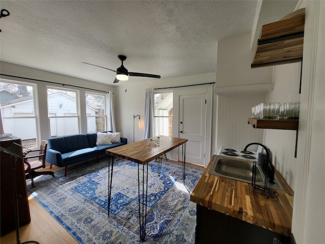 living area with a ceiling fan, wood finished floors, and a textured ceiling