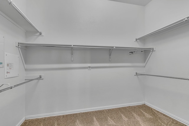 walk in closet with carpet