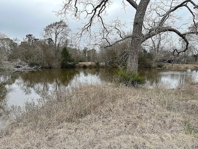 0 An County Road 117, Elkhart TX, 75839 land for sale