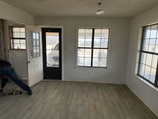 doorway with a wealth of natural light and wood finished floors