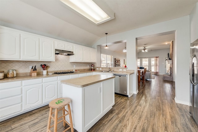 kitchen with under cabinet range hood, light wood-style floors, appliances with stainless steel finishes, and a sink