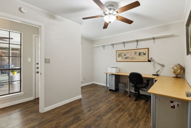 office featuring a ceiling fan, crown molding, baseboards, and dark wood-style flooring