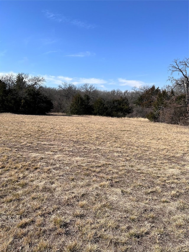 Listing photo 3 for 271 Rolling Ranch Blvd, Alvord TX 76225