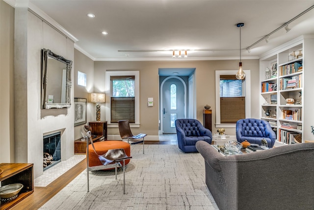 living area with wood finished floors, a fireplace with flush hearth, arched walkways, ornamental molding, and track lighting