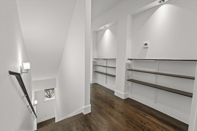 spacious closet featuring wood finished floors