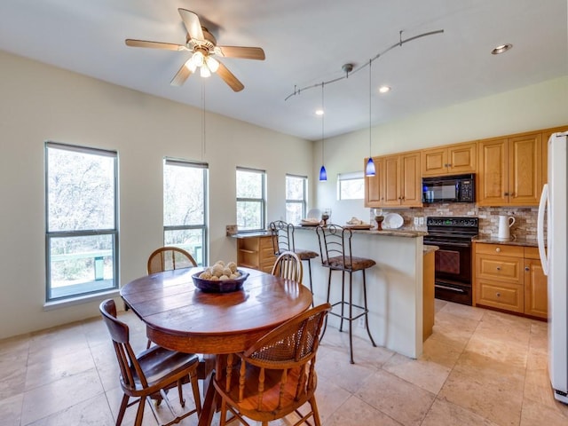 dining space with plenty of natural light and a ceiling fan