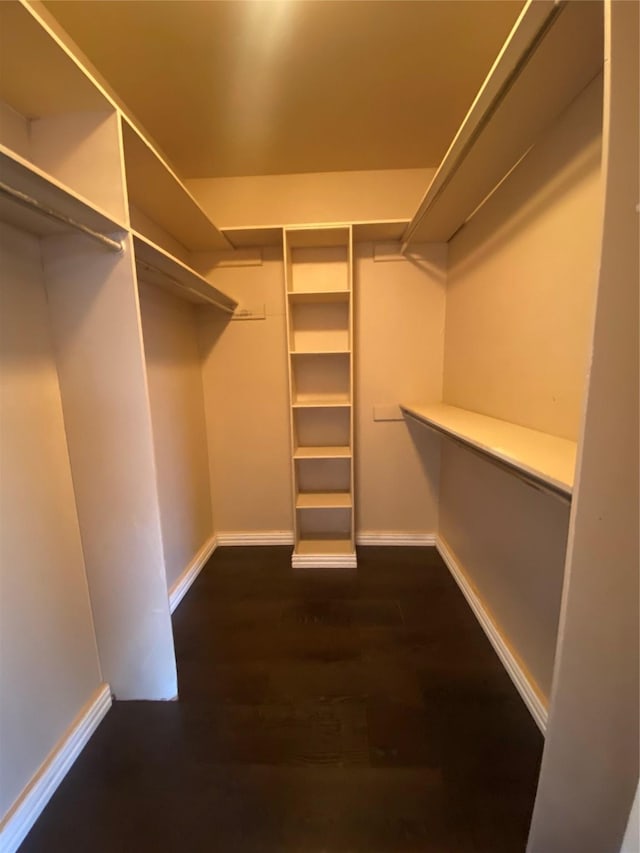 walk in closet with dark wood finished floors