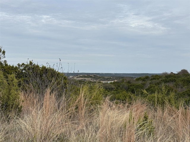 1625 Beacon Lake Dr, Bluff Dale TX, 76433 land for sale