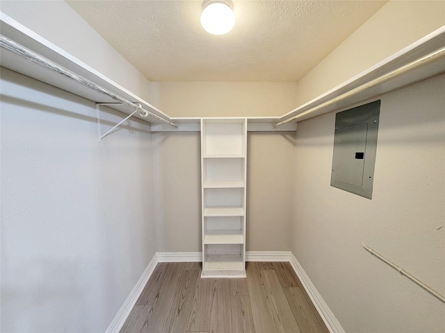 walk in closet featuring electric panel and wood finished floors