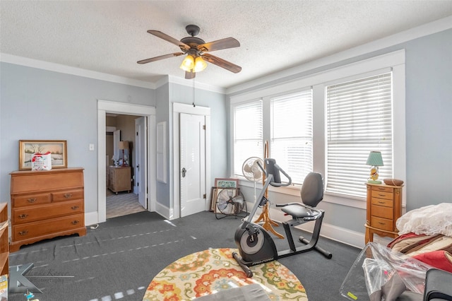 bedroom featuring crown molding, multiple windows, carpet floors, and a textured ceiling