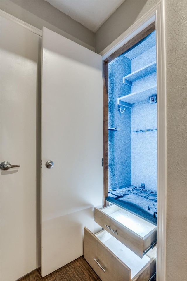 bathroom featuring wood finished floors