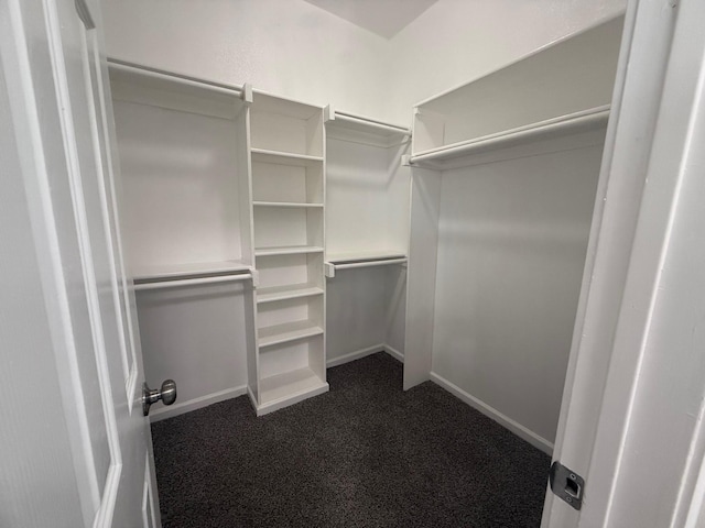 walk in closet with dark carpet