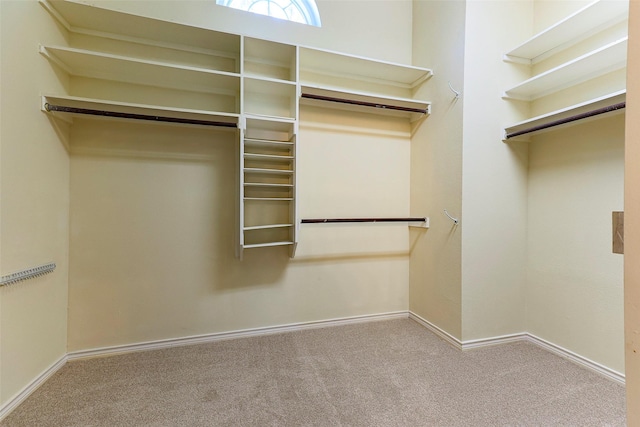 walk in closet featuring carpet