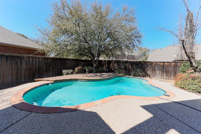 view of swimming pool featuring a fenced in pool, a patio, and a fenced backyard