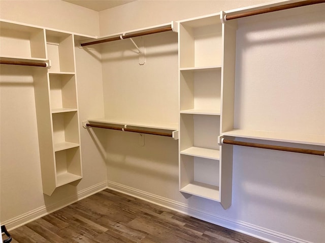 spacious closet with dark wood finished floors