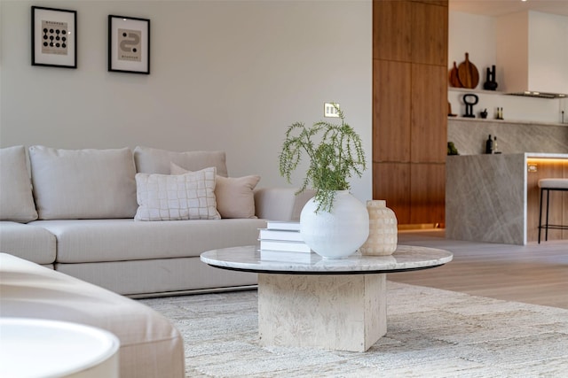 living room featuring wood finished floors