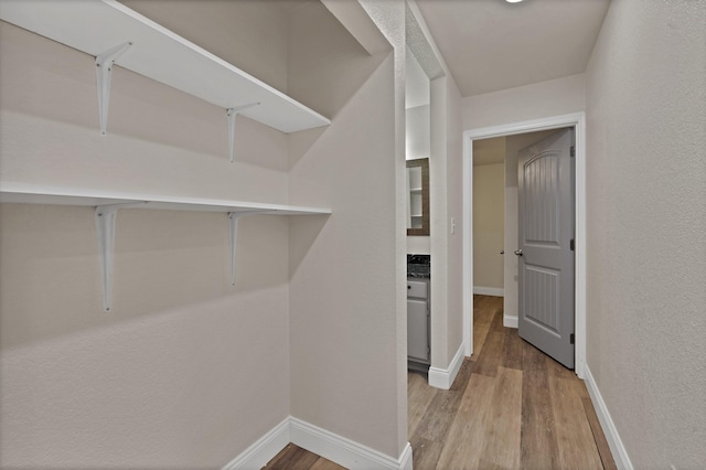 walk in closet with light wood finished floors