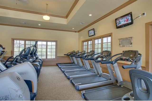 exercise room featuring visible vents, carpet floors, wainscoting, crown molding, and a raised ceiling