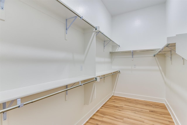 spacious closet featuring light wood-style flooring