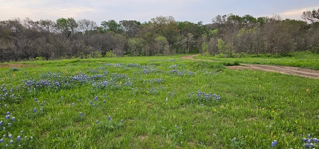 Listing photo 3 for TBD County Road 212, Coolidge TX 76635