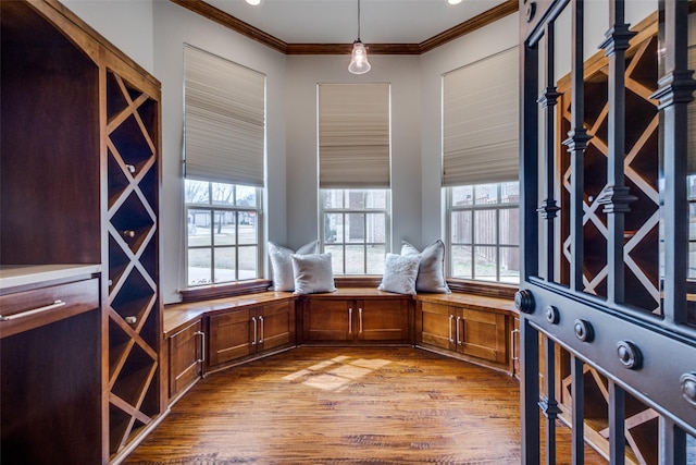 interior space featuring wood finished floors and ornamental molding