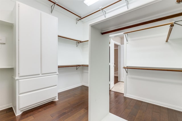 walk in closet featuring dark wood-style floors