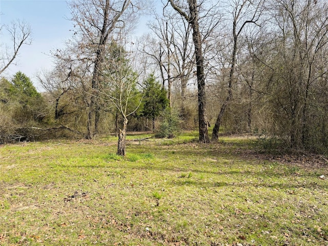 view of yard featuring a view of trees