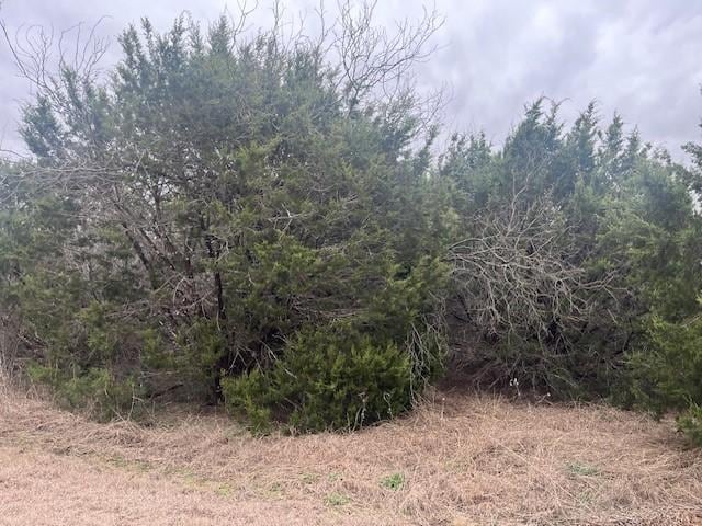 36047 Cedar Ridge Dr, Whitney TX, 76692 land for sale