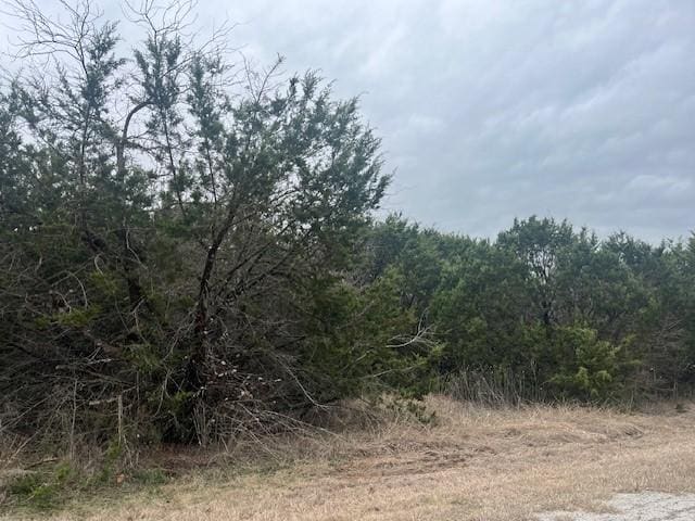 Listing photo 3 for 36047 Cedar Ridge Dr, Whitney TX 76692