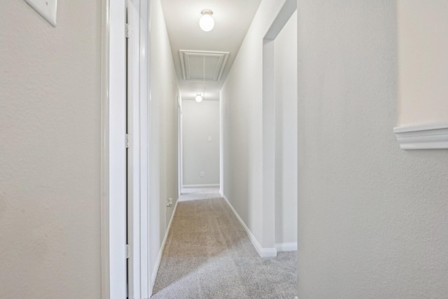 hallway with attic access, carpet flooring, and baseboards