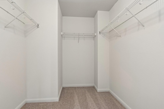 spacious closet with carpet