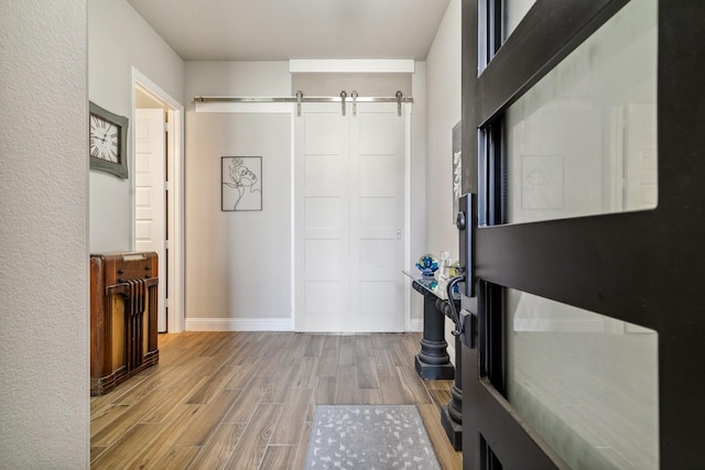 interior space featuring baseboards, a barn door, and wood finished floors