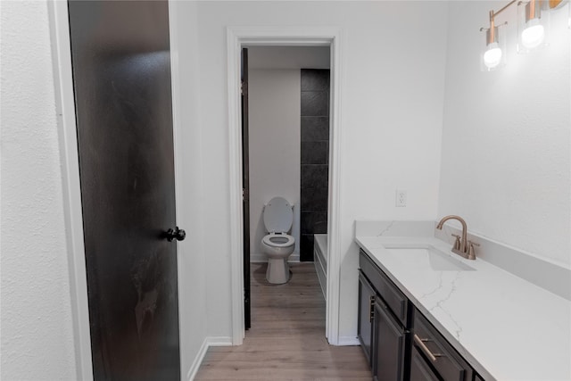 bathroom with toilet, wood finished floors, baseboards, a bathtub, and vanity