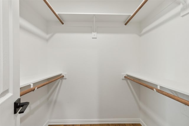 walk in closet featuring wood finished floors