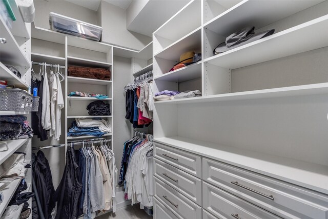 view of spacious closet