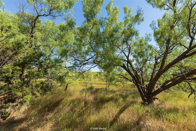 TBD Fm - 1086, Ovalo, TX 79541
