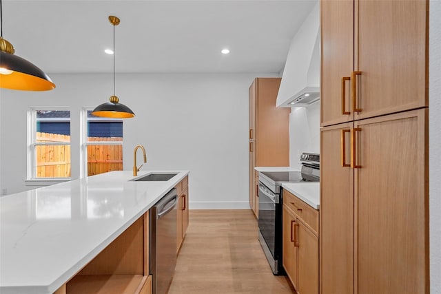 kitchen with light wood-type flooring, light countertops, custom range hood, stainless steel appliances, and a sink