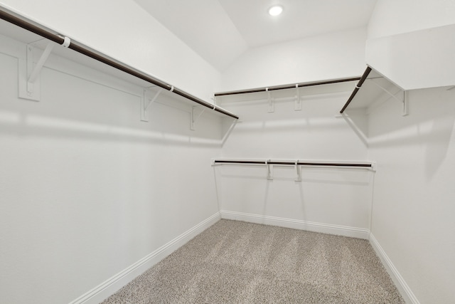 walk in closet featuring light carpet