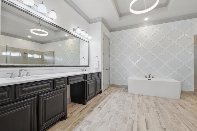 full bathroom with ornamental molding, wood finished floors, a raised ceiling, and a sink