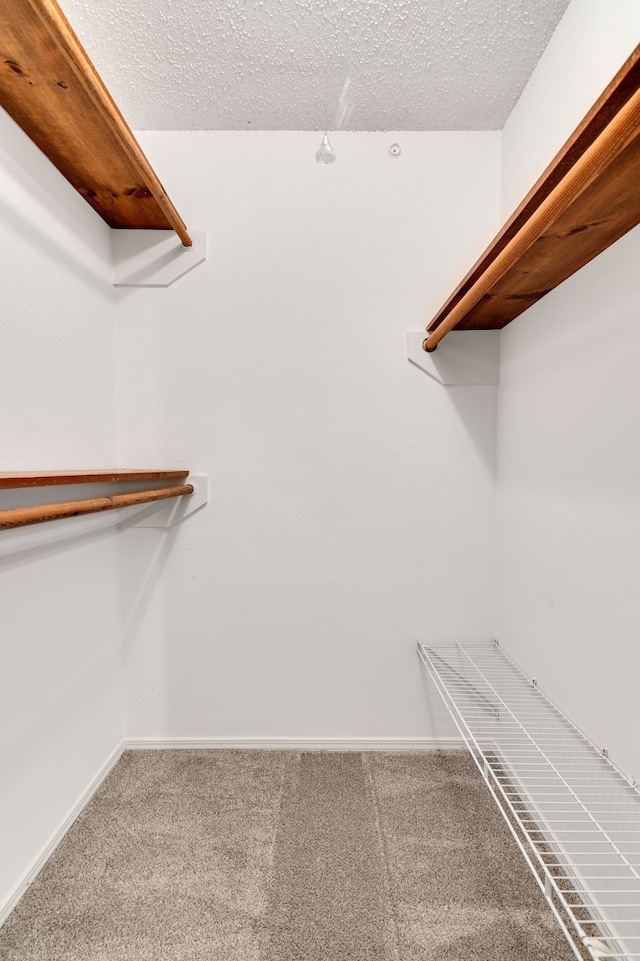 spacious closet with carpet flooring