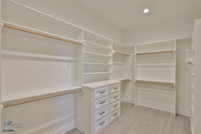 spacious closet with light wood-type flooring