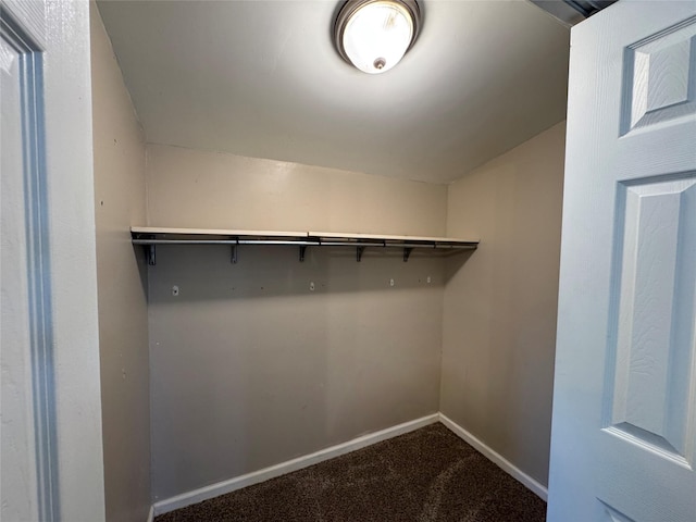 spacious closet with dark carpet