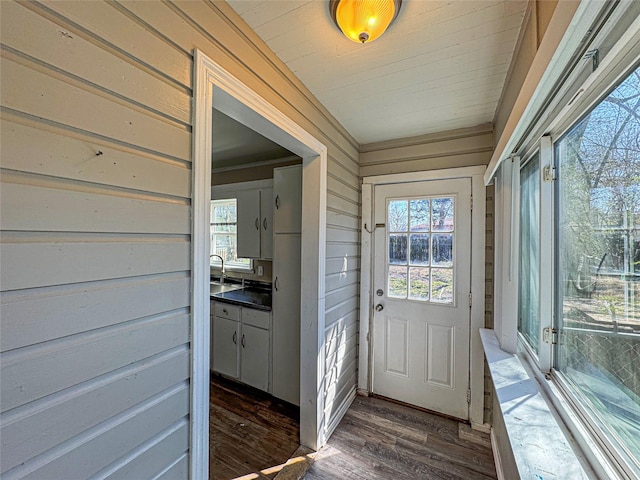 doorway to outside featuring dark wood-type flooring, wood walls, and a sink