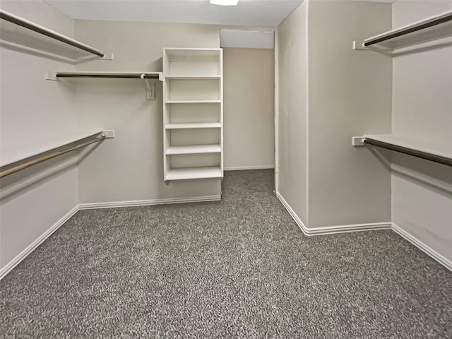 spacious closet with carpet